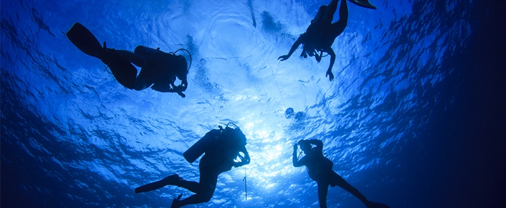 Oceandiving Koper: potapljaški program s predavanjem - Kuponko.si