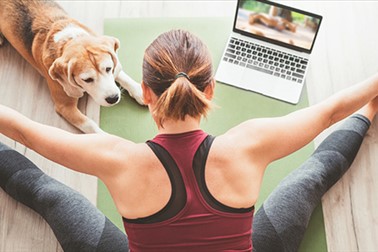 Paket spletnih vadb joge in pilatesa (8x 60 min)