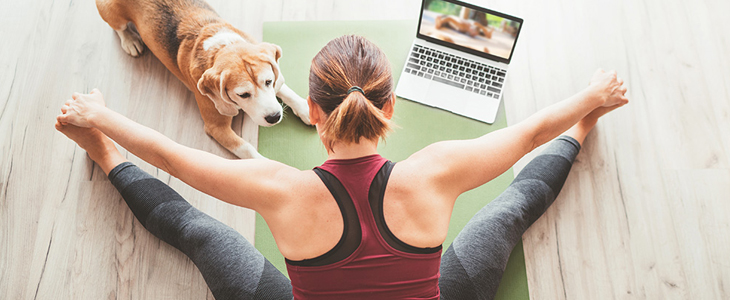 Paket spletnih vadb joge in pilatesa (8x 60 min) - Kuponko.si