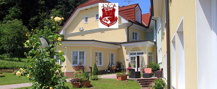 Hotel Čateški dvorec 3*, kupon Terme Čatež - Kuponko.si