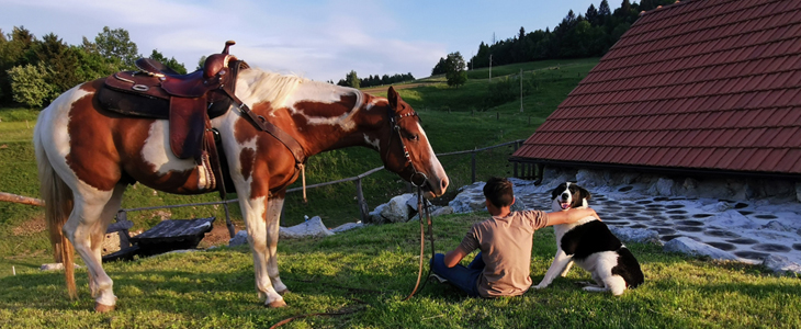 Kmetija Čož, jahalni tabor za otroke - Kuponko.si