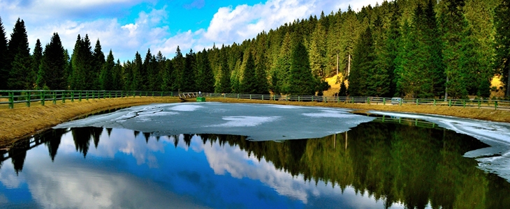 Apartmaji Zero, Zreče - Rogla, oddih - Kuponko.si