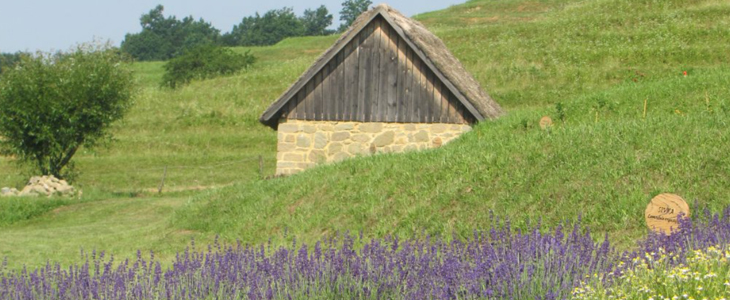 Muzej na prostem Rogatec: vstopnica - Kuponko.si
