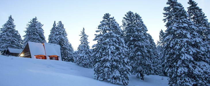 Tree House Alpinka, Krvavec - oddih v dvoje - Kuponko.si