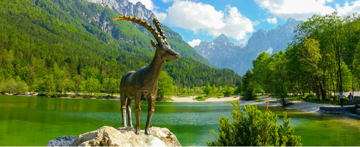 Hotel Alpina***, Kranjska Gora: aktiven oddih - Kuponko.si