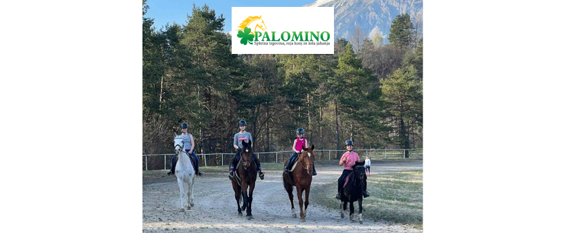 Konjeniški klub Palomino: šola jahanja - Kuponko.si