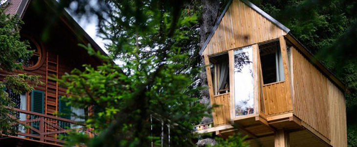 Tree House Alpinka, Krvavec - oddih v dvoje - Kuponko.si