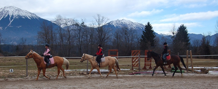 Konjeniški klub Palomino: šola jahanja - Kuponko.si