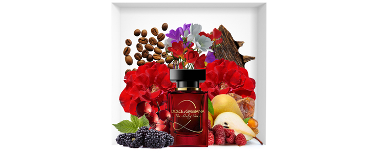 Ženska dišava Dolce & Gabbana 