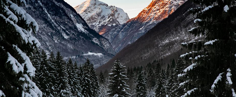 Apartmaji Residence Soča: nepozaben oddih v dvoje - Kuponko.si