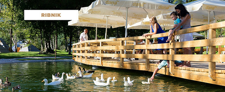Eco Resort kupon, Velika Planina wellness oddih - Kuponko.si