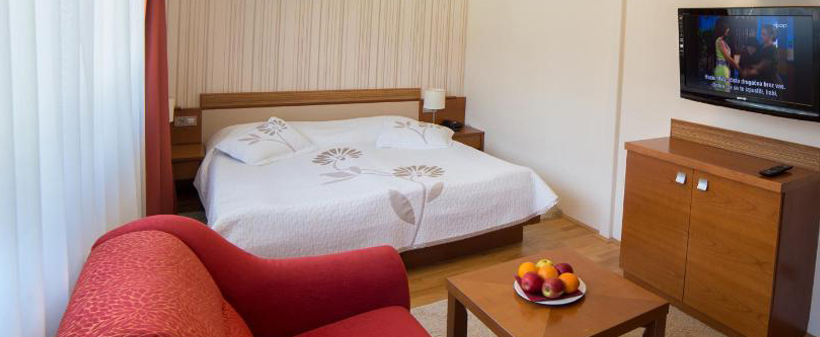 Hotel Slatina*: kopanje, savna, kosilo, najem sobe - Kuponko.si