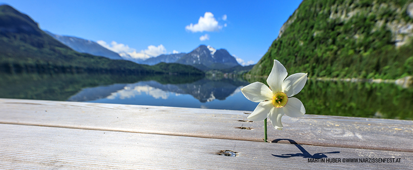 M&M turist: izlet v Salzkammergut in Ausseerland - Kuponko.si