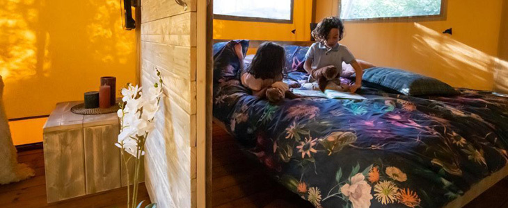 Resort Papafigo, Vodnjan: najem glamping šotora - Kuponko.si