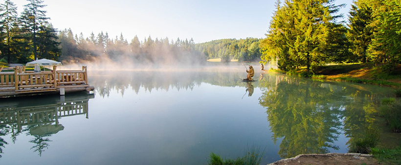 Zavod Dogana: sprostitveno-meditacijsko doživetje - Kuponko.si