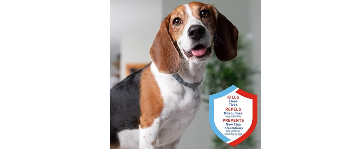 Ovratnica proti zajedavcem Animal Protect - Kuponko.si
