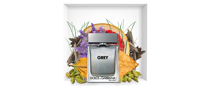 Moška dišava Dolce & Gabbana The One Grey 100 ml - Kuponko.si