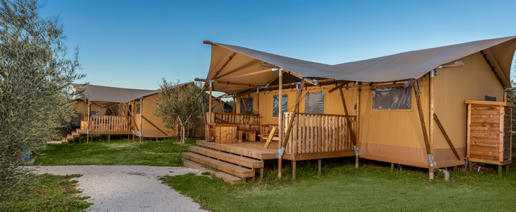 Resort Papafigo, Vodnjan: najem glamping šotora - Kuponko.si