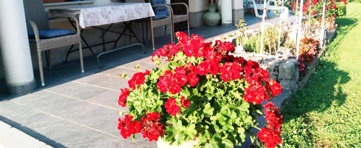 Dolenjska vila, wellness oddih za 2 - Kuponko.si