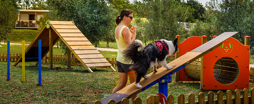 Aminess Maravea Camping Resort, Novigrad: mobilne hiške - Kuponko.si