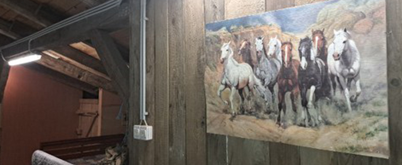 Rimski počitniški tabor za 1 otroka na Ptuju! - Kuponko.si