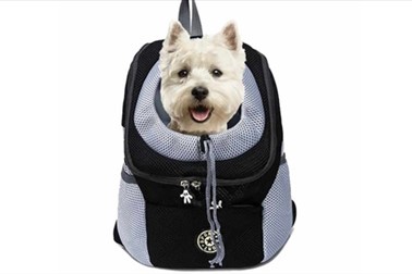 DoggyPack, oblazinjen in udoben nahrbtnik za psa