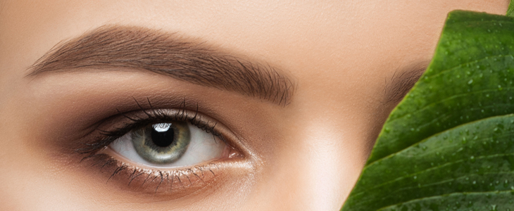 Body art & Beauty: powder brows - Kuponko.si