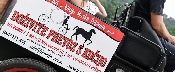 Kmetija Pri Potočniku-Šraj: vožnja s kočijo - Kuponko.si
