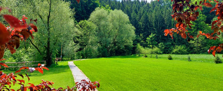 Green Land resort, Šmarje pri Jelšah, apartma - Kuponko.si