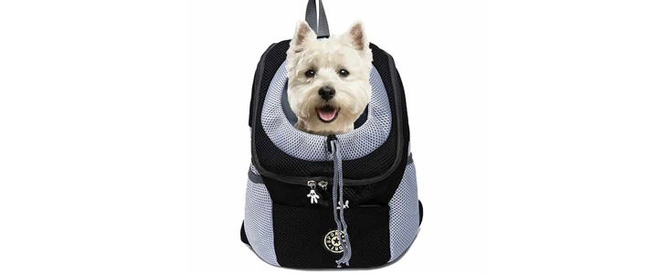 DoggyPack, oblazinjen in udoben nahrbtnik za psa - Kuponko.si