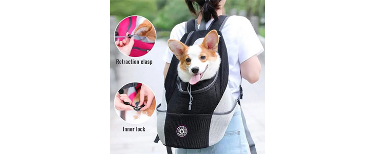 DoggyPack, oblazinjen in udoben nahrbtnik za psa - Kuponko.si