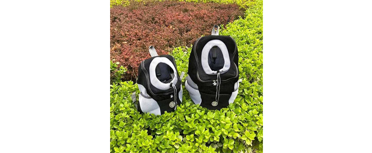 DoggyPack, oblazinjen in udoben nahrbtnik za psa - Kuponko.si