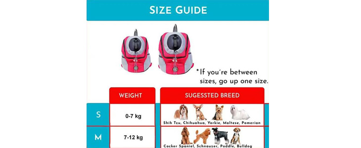 DoggyPack, oblazinjen in udoben nahrbtnik za psa - Kuponko.si