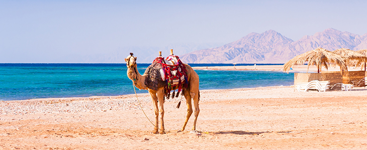 Makadi Palace, Hurgada Egipt, all inclusive - Kuponko.si