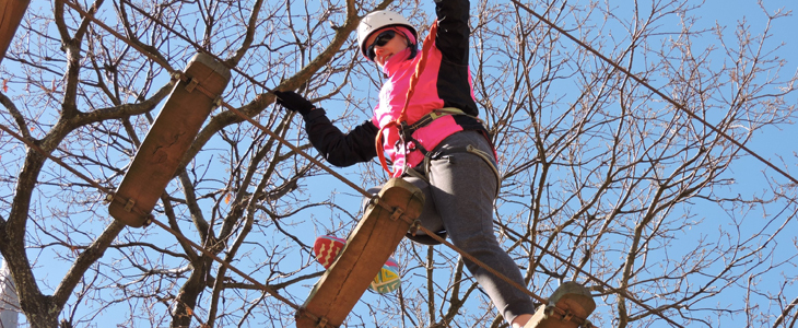 Adrenalinski Glavani park, vstopnica 8 atrakcij - Kuponko.si