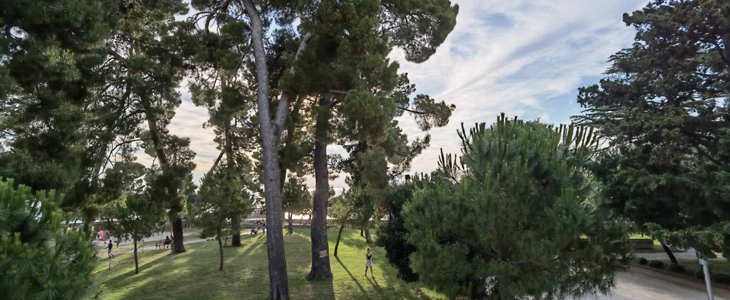 Villa Bionda, apartma Aria, Novigrad - Kuponko.si