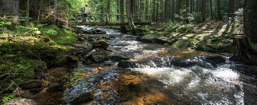 Wellness & Spa Hotel Bolfenk 4*, Mariborsko Pohorje - Kuponko.si