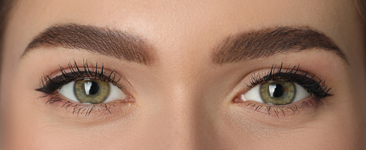 Društvo Vitus: microblading, powder brows - Kuponko.si