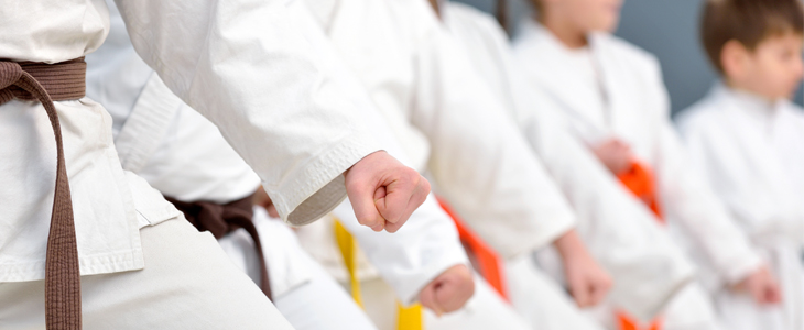 Karate klub Lev, tečaj karateja - Kuponko.si