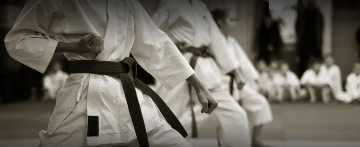 Karate klub Lev, tečaj karateja - Kuponko.si