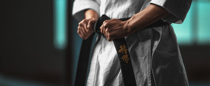 Karate klub Lev, tečaj karateja - Kuponko.si