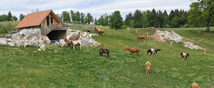 Glamping oddih v brunarici z wellnesom - Kuponko.si