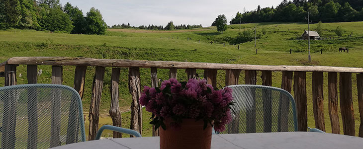 Glamping oddih v brunarici z wellnesom - Kuponko.si