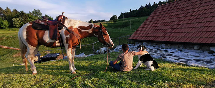 Glamping oddih v brunarici z wellnesom - Kuponko.si