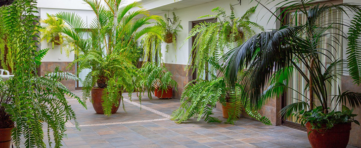 Hotel Marquesa*** Tenerifi, Španija - Kuponko.si