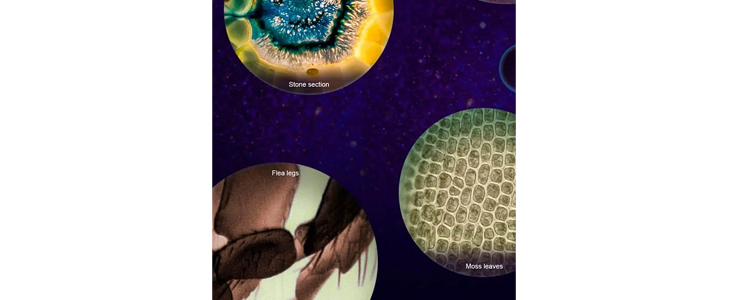 Prenosni otroški mikroskop Microscopekit - Kuponko.si