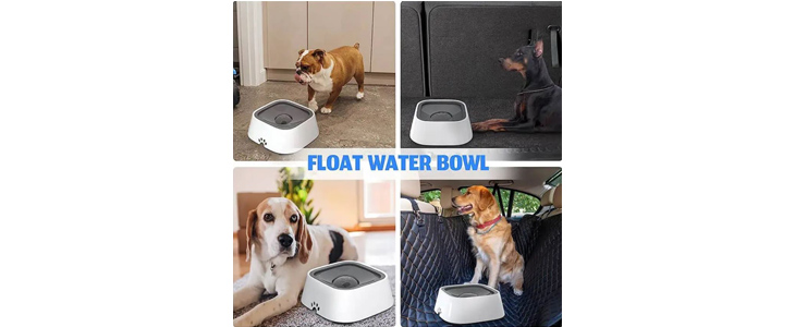 NoSplashBowl, pasja posoda za pitje - Kuponko.si