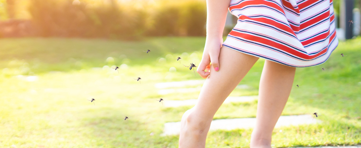 Svetilka za uničenje letečih insektov - Kuponko.si