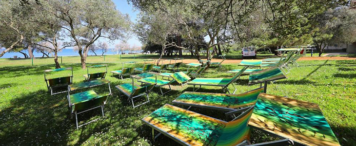 Premium apartmaji Senia, Zadar - Kuponko.si