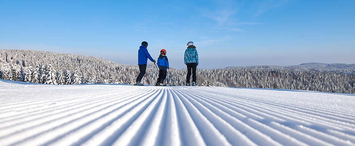 bungalovi Macesen**** Rogla, Slovenija - Kuponko.si